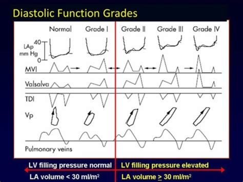 lv function grade